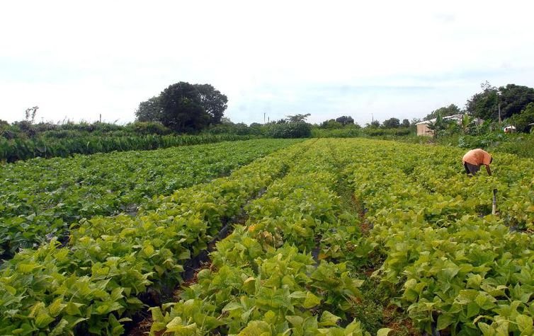 Paraíba Lança Novo Programa de Incentivo à Agricultura Familiar