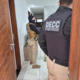 Prisão por Suspeita de Exploração Sexual Após Denúncia Familiar