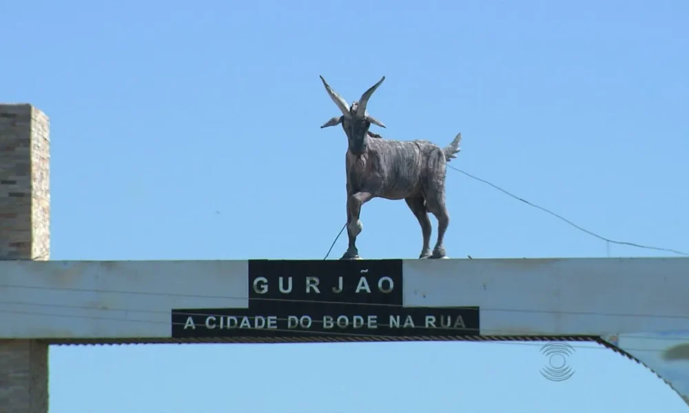 Bode na Rua