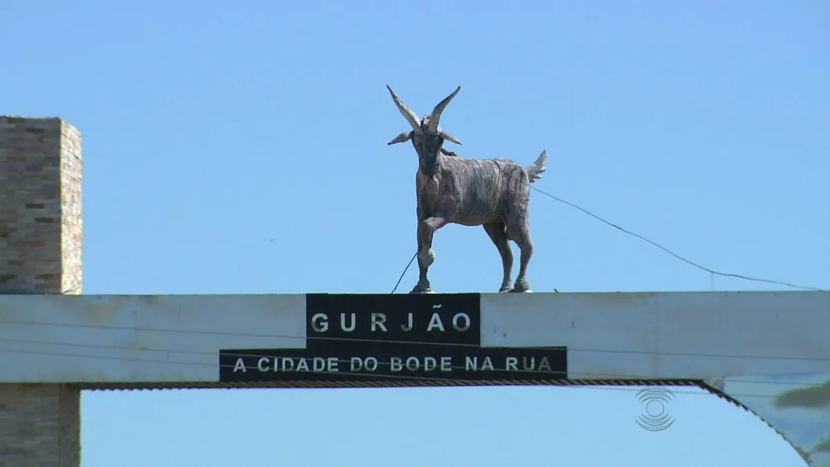 Bode na Rua