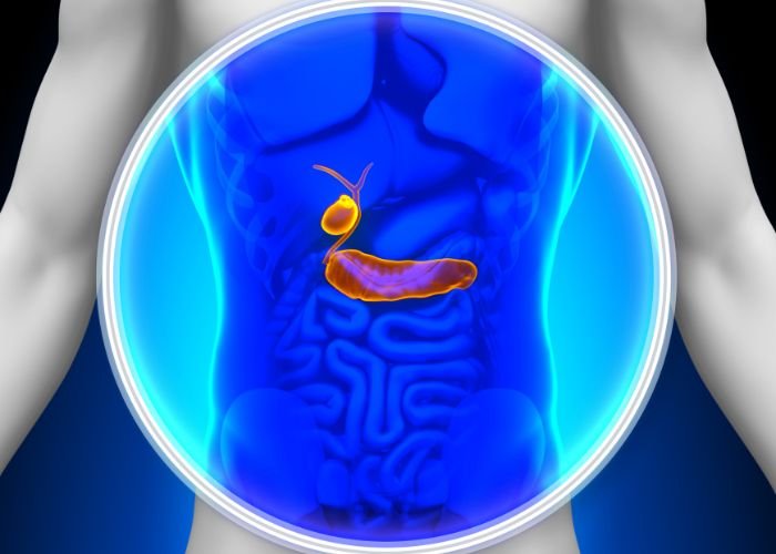 vesicula inflamada sintomas que exigem atencao hernia clinic dcd - Correio Paraibano - Vesícula Inflamada: sintomas, exames e como o médico faz o diagnóstico 2025