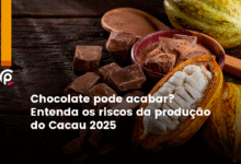 Chocolate pode acabar? Entenda os riscos da produ&ccedil;&atilde;o do Cacau 2025