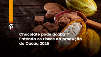 Chocolate pode acabar? Entenda os riscos da produ&ccedil;&atilde;o do Cacau 2025