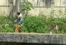 A Verdade por Trás: Homem Morto Pela Leoa em João Pessoa (30)