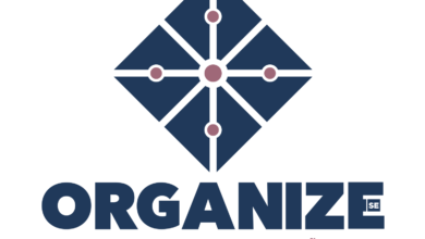OrganizeSE Assessoria