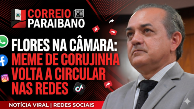 Flores na C&acirc;mara: meme de Corujinha volta a circular nas redes